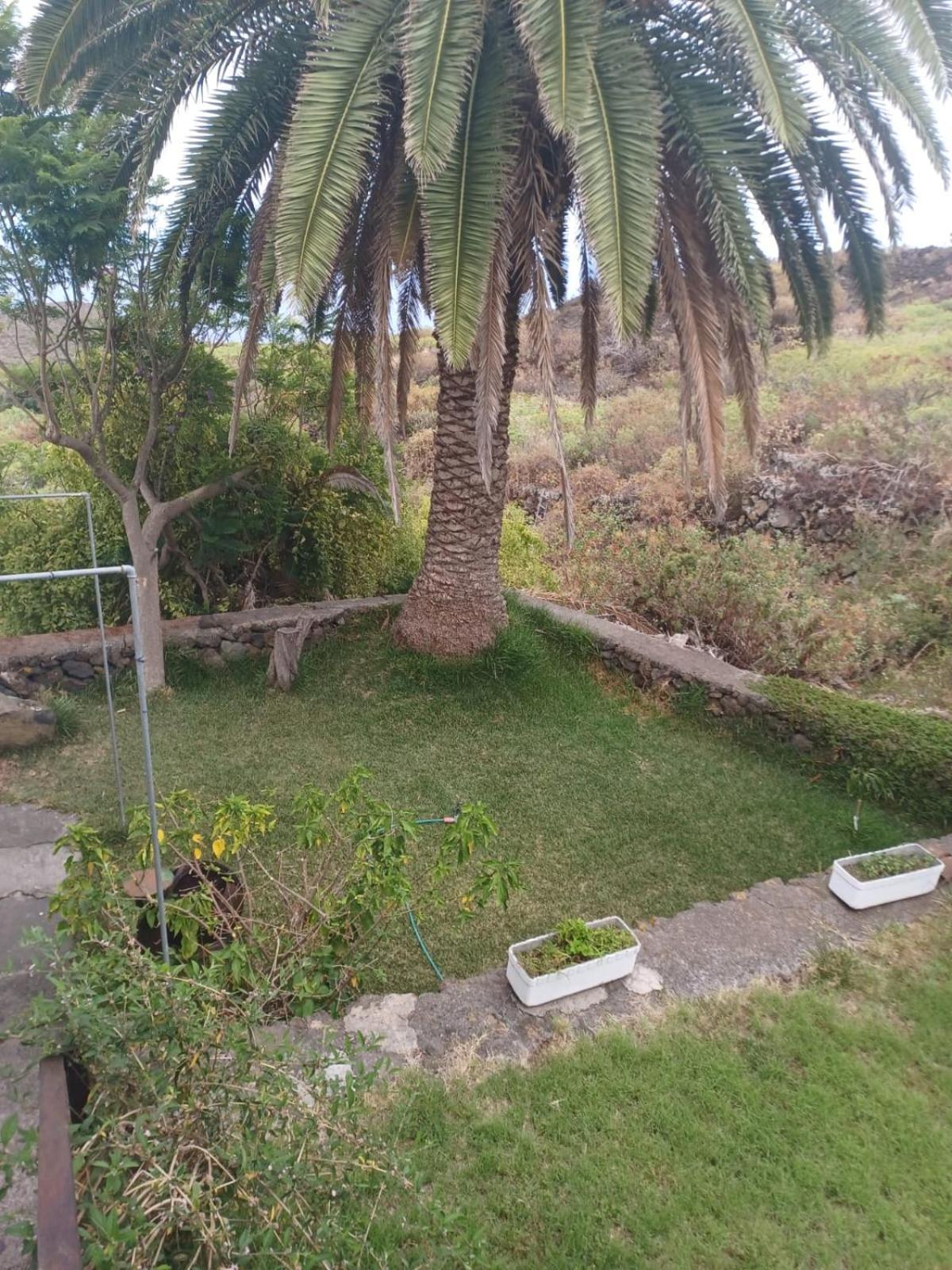 Casa Rural El Olivo De Mazo Εξωτερικό φωτογραφία